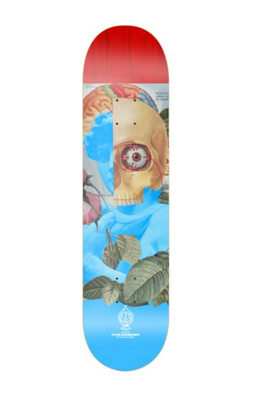 8.62" Pylon Beauty Skate Deck