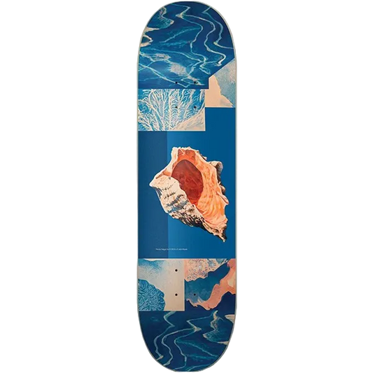 8.12" Coda Salgar Shell Skate Deck
