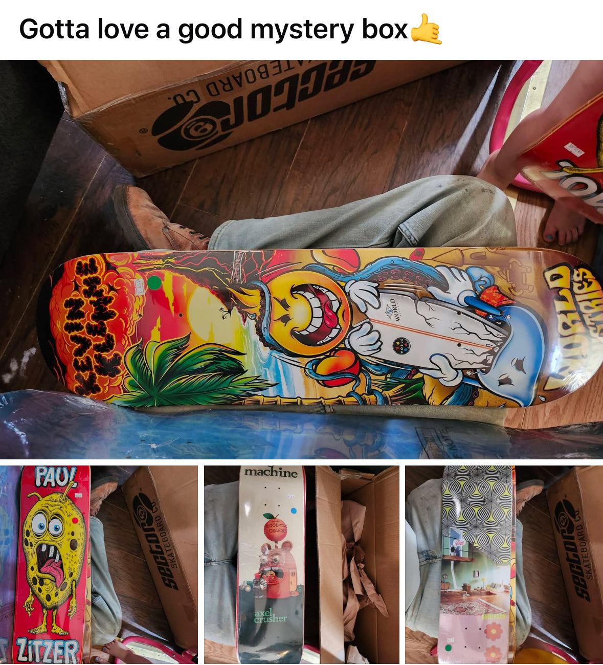 4 Mystery Name Brand Skate Deck Combo